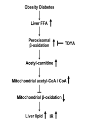 0e4df51053fa41e0a4cf6f87ed6e9c7f.png image.png