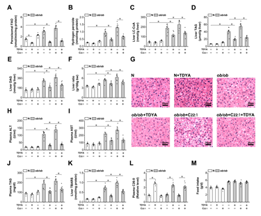 922af9c10e7e454cb5b91964a58fba5d.png image.png